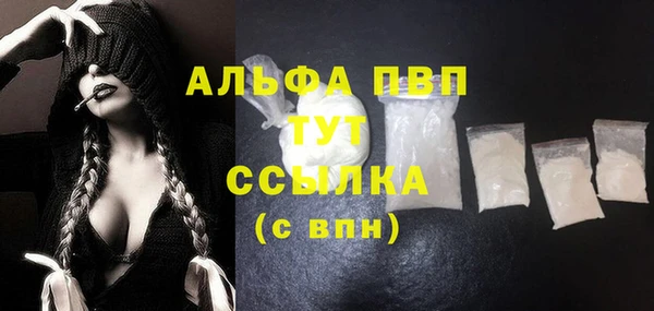сатива Гусь-Хрустальный