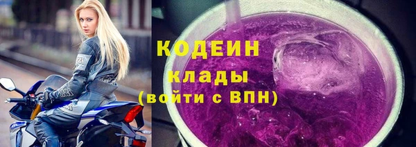 сатива Гусь-Хрустальный