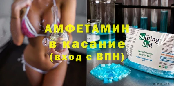 сатива Гусь-Хрустальный