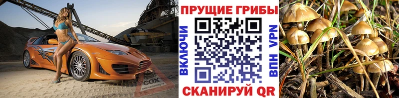 Псилоцибиновые грибы ЛСД Енисейск